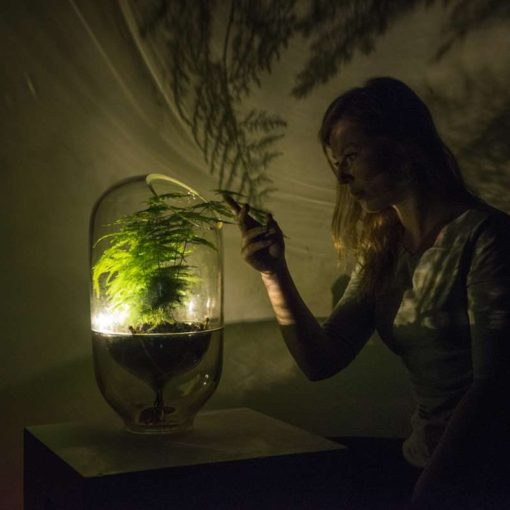 Living Light by Ermi van Oers is powered by plants