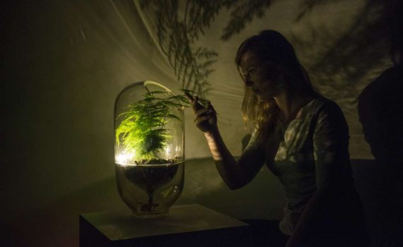 Living Light by Ermi van Oers is powered by plants