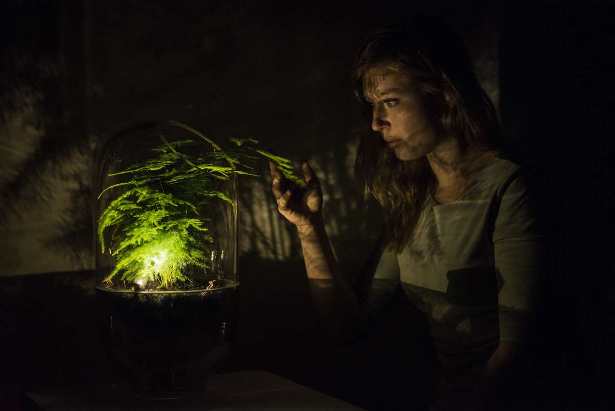 Living Light by Ermi van Oers is powered by plants