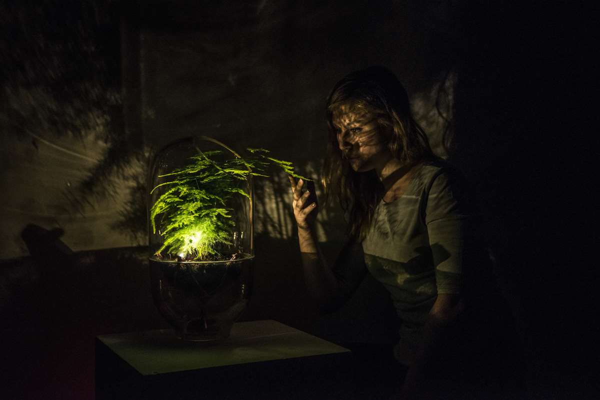 Living Light by Ermi van Oers is powered by plants