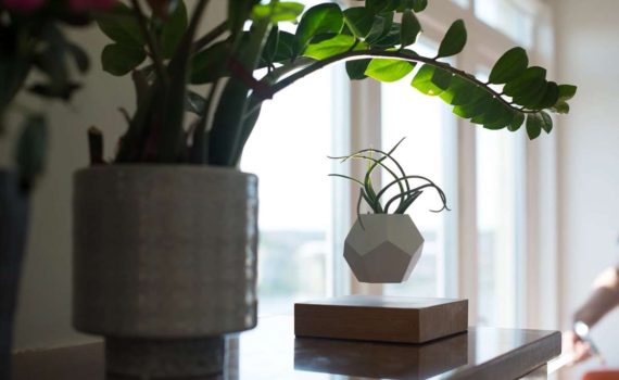 Lyfe Levitating Indoor Planter by Simon Morris