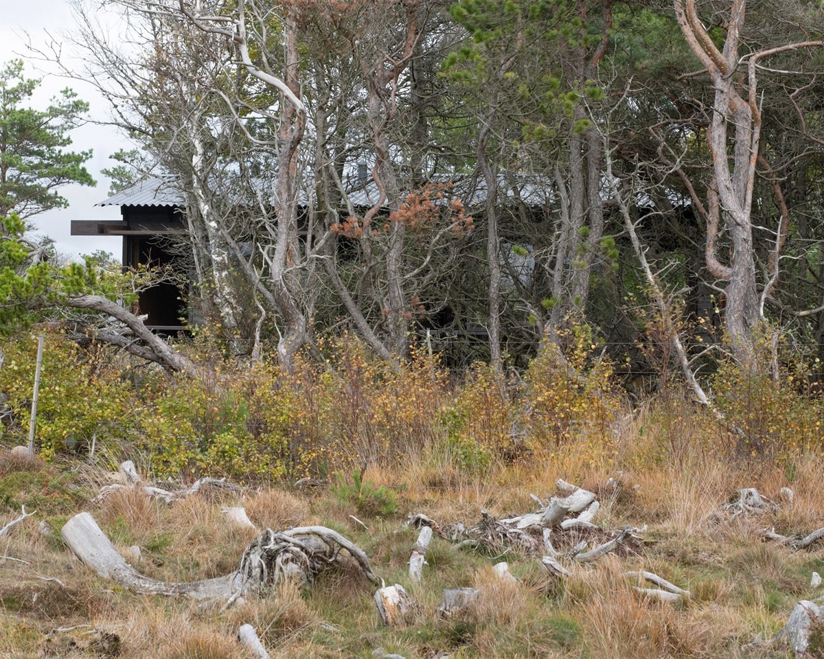 House Tjurpannan with Tar-Coated Black Timber Exterior by HelgessonGonzaga