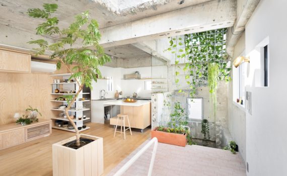 Old Reinforced Concrete Building Converted into MAMM DESIGN Office and Residence