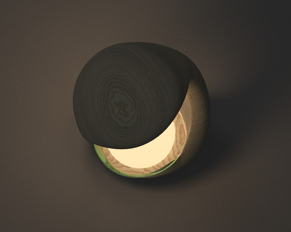 Okra Seed Inspired Lamp by Cat Tuong Giang