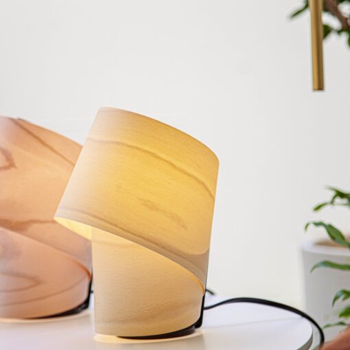 The Tiny Table Lamp by Ray Power