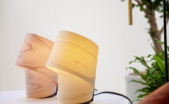 The Tiny Table Lamp by Ray Power